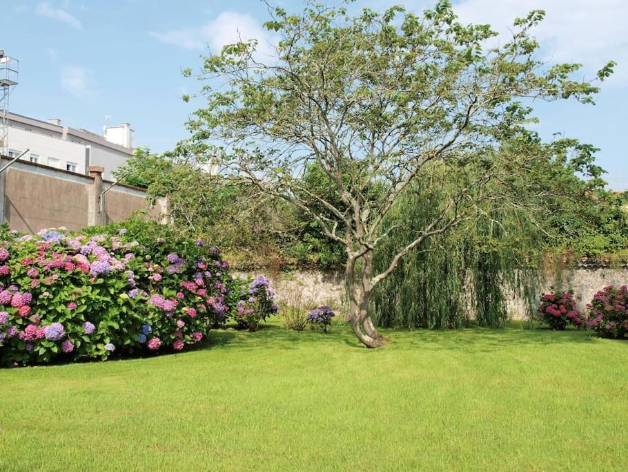 Precioso Apartamento Wifi, Aparcamiento, Piscina En Llanes Εξωτερικό φωτογραφία